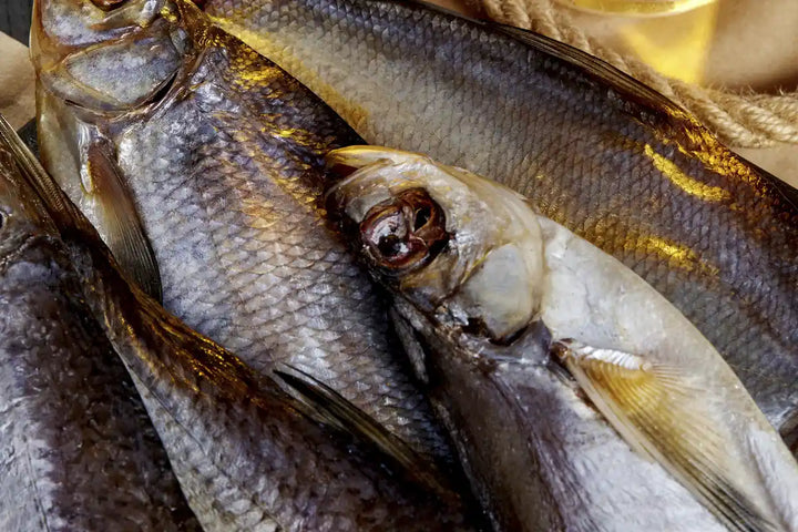 Maräne gesalzen & getrocknet – Traditioneller Fischgenuss | myRibka