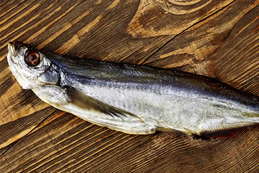 Maräne gesalzen & getrocknet – Traditioneller Fischgenuss | myRibka