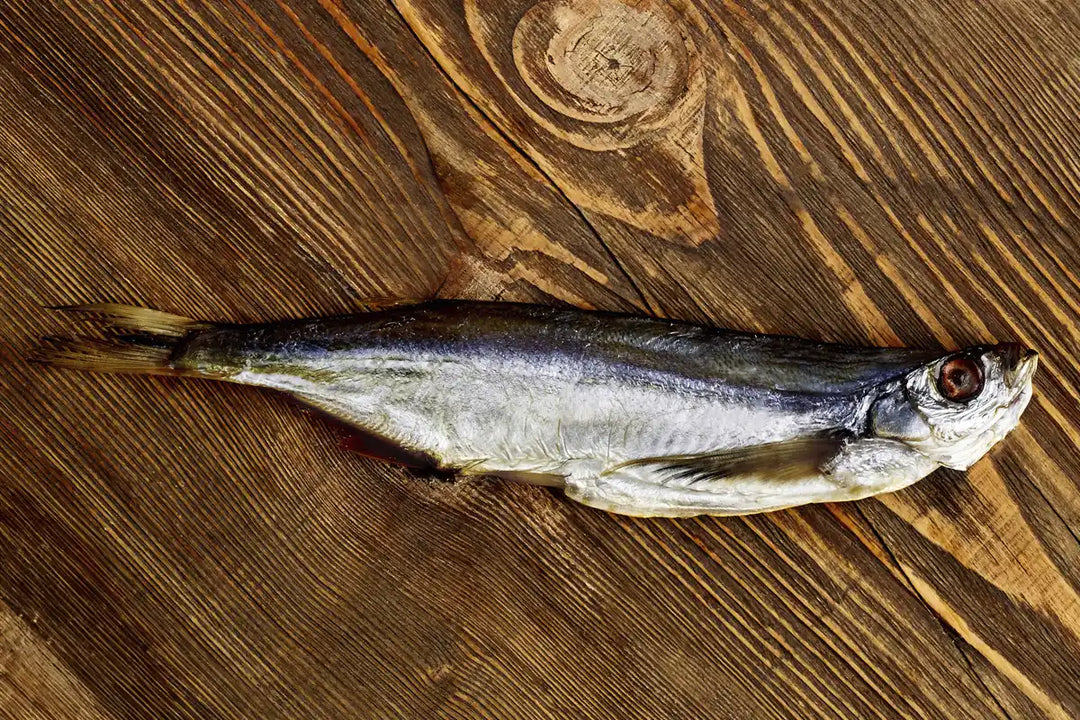 Maräne gesalzen & getrocknet – Traditioneller Fischgenuss | myRibka