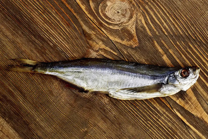 Maräne gesalzen & getrocknet – Traditioneller Fischgenuss | myRibka