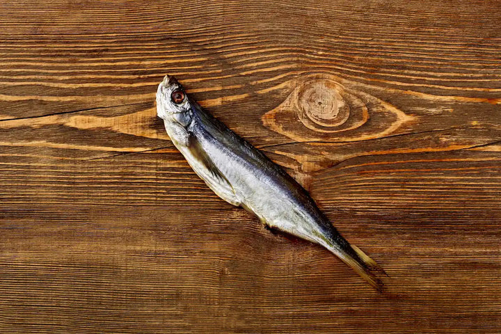 Maräne gesalzen & getrocknet – Traditioneller Fischgenuss | myRibka